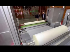 TDPB-1900 고급 CNC 껍질 벗기는 기계